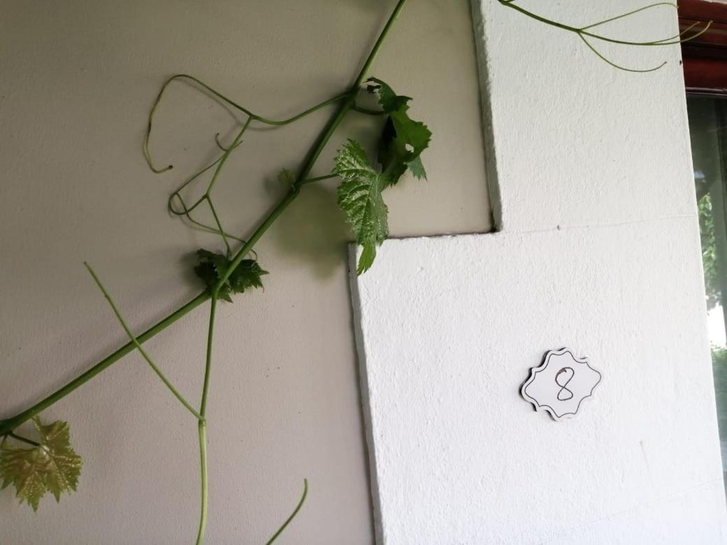 Monte Rosa Guesthouse Rawsonville Zewnętrze zdjęcie