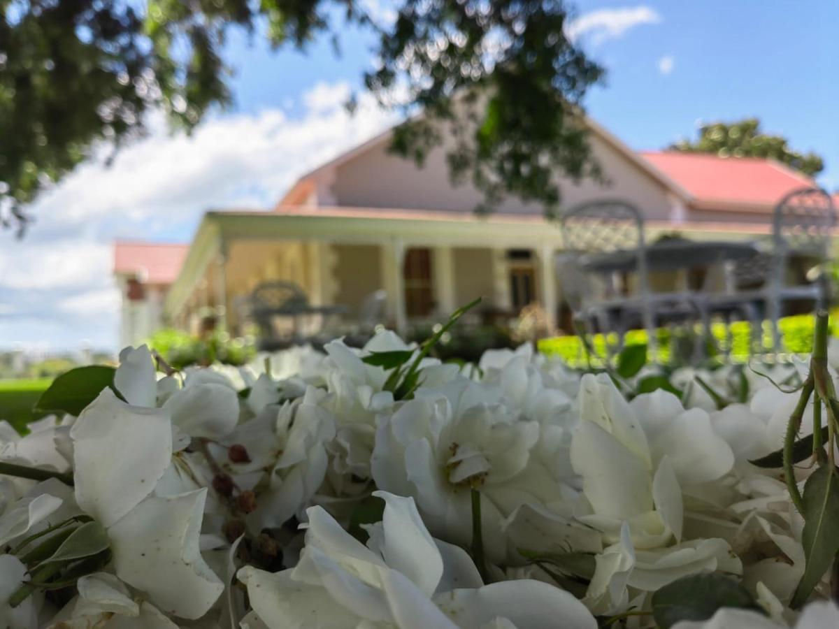Monte Rosa Guesthouse Rawsonville Zewnętrze zdjęcie